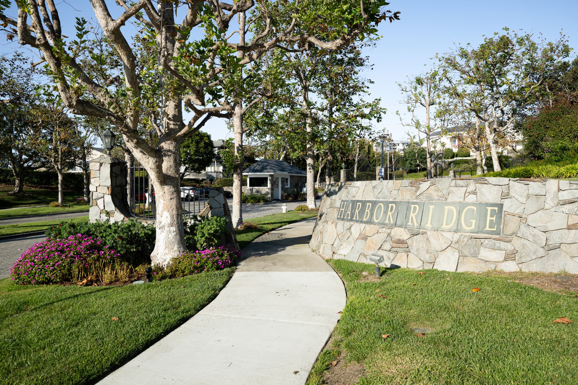 Harbor Ridge stone entrance sign framed by mature sycamore trees
